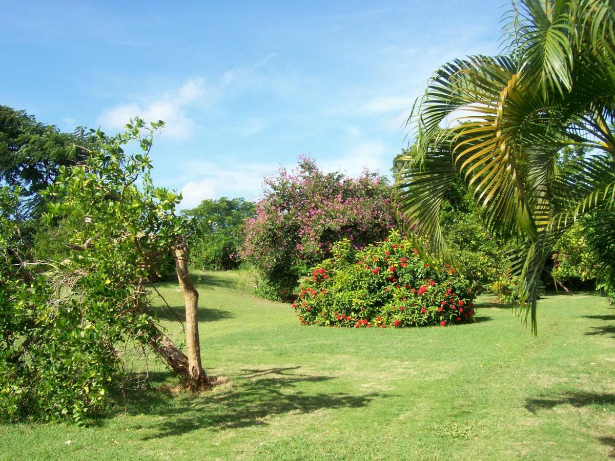 Ocean View Montego Bay Apartment Exterior foto